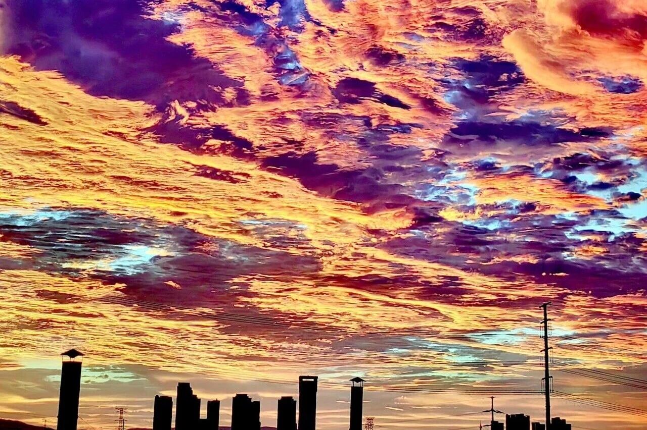 微信圖片_2025-09-25_092621_281.jpg